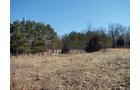 Property photo 13 - 97.5 Acres - Executive Home and Secluded Retreat